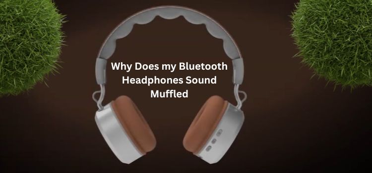 Why Does my Bluetooth Headphones Sound Muffled